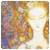 Alicex141