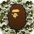 Rocwel