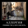 Демотиваторы О-Жизни