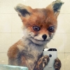 crazy_hacker92