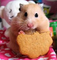 mpink