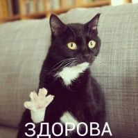 Darinka___91