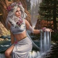 Korica