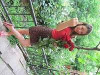 little_swift
