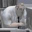 AlEks_01