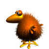 ardorbird
