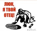 Щи