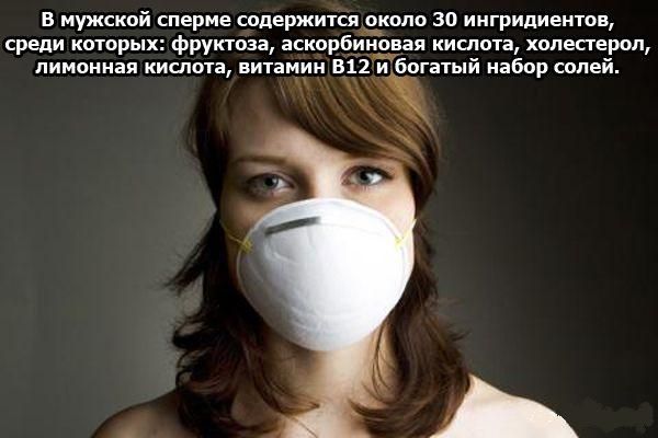 Интересные факты в картинках