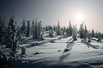 8 необычных туристических поездок по России