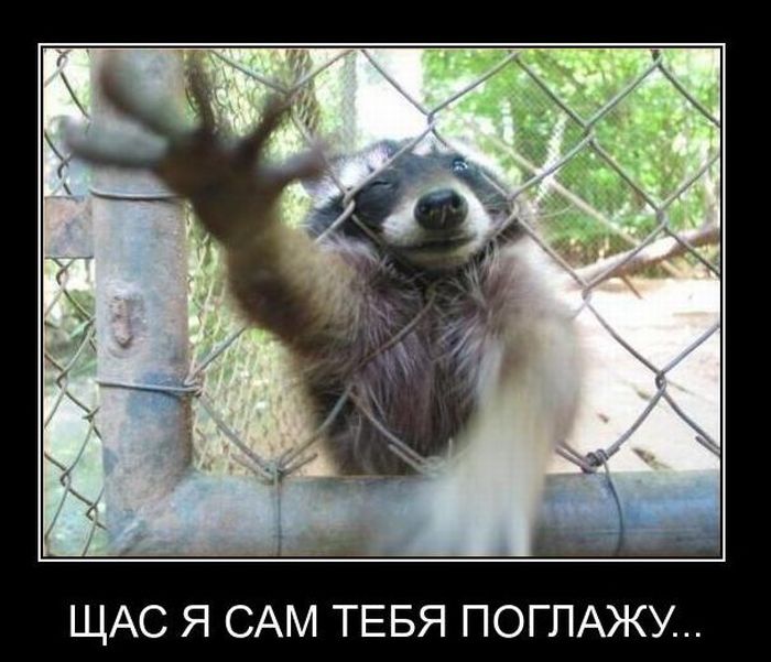 Демотиваторы (45 фото)