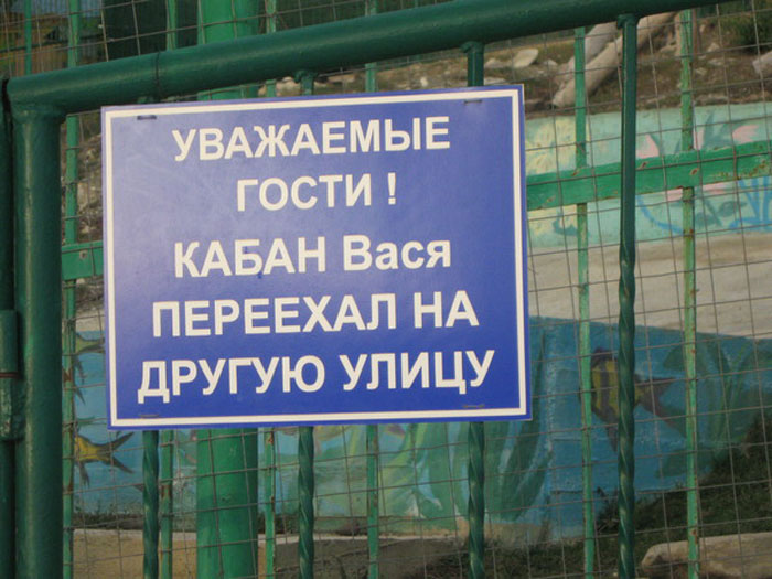 Не переживайте с Васей все в порядке!