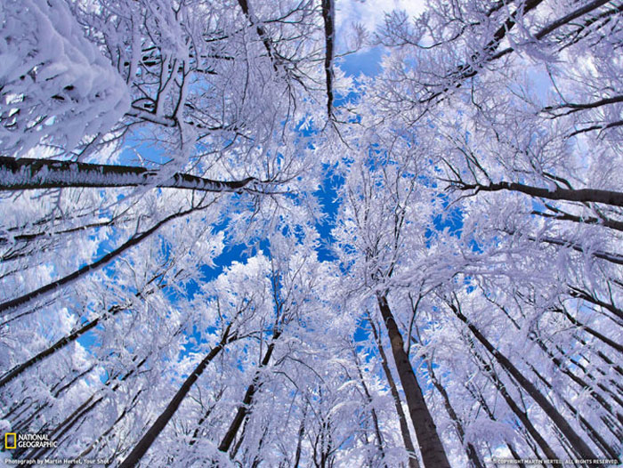 Лучшие снимки National Geographic за январь 2011