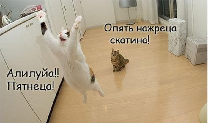 Приколы про пятницу