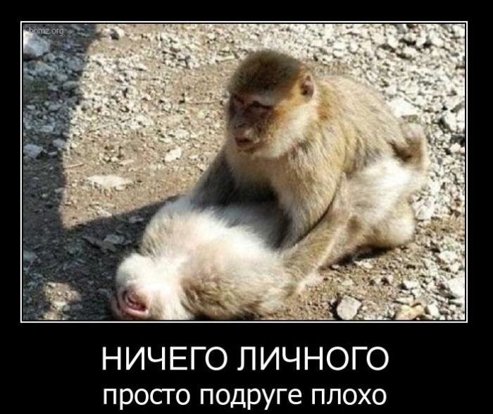 Демотивируемся!