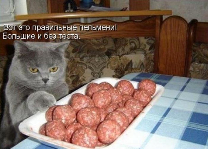 Юморные картинки с надписями (33 прикола)