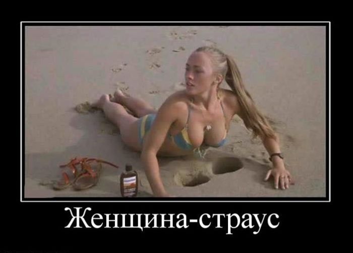 Демотиваторы (44 фото)