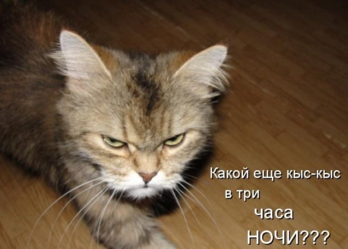 Картинки с надписями (22 картинки)