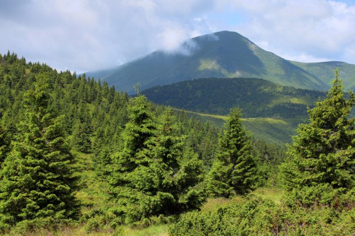 Черногорский хребет