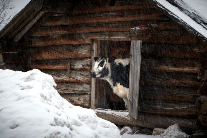 Последний зимний месяц 2011
