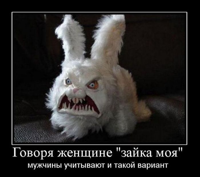 Демотиваторы (40 фото)