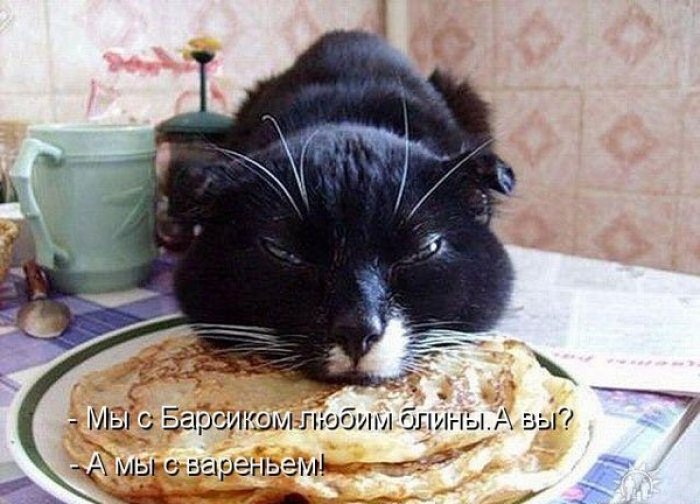 Приколы в картинках с надписями