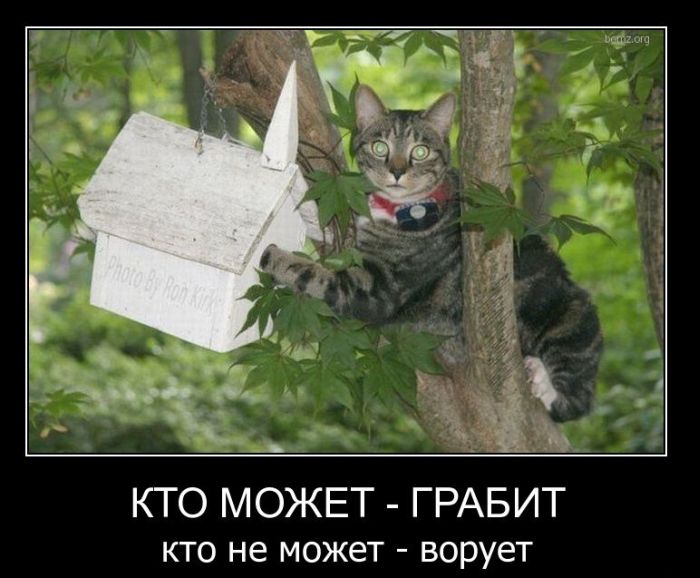Демотиваторы на злобу дня