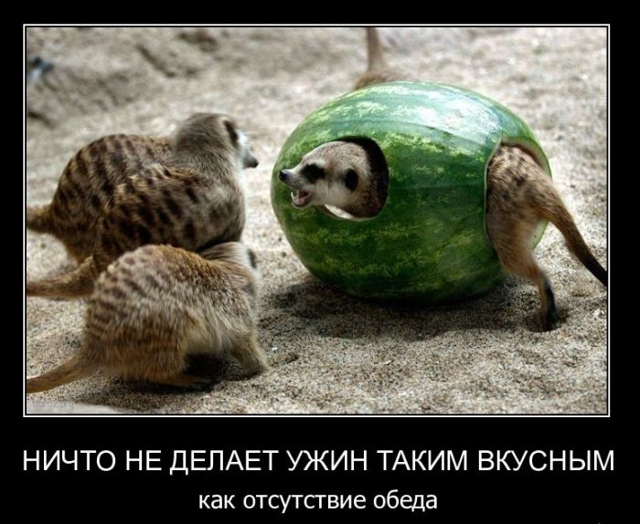 Демотивируемся!