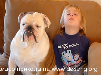 Смотрят мультики