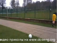 Неудачник дня