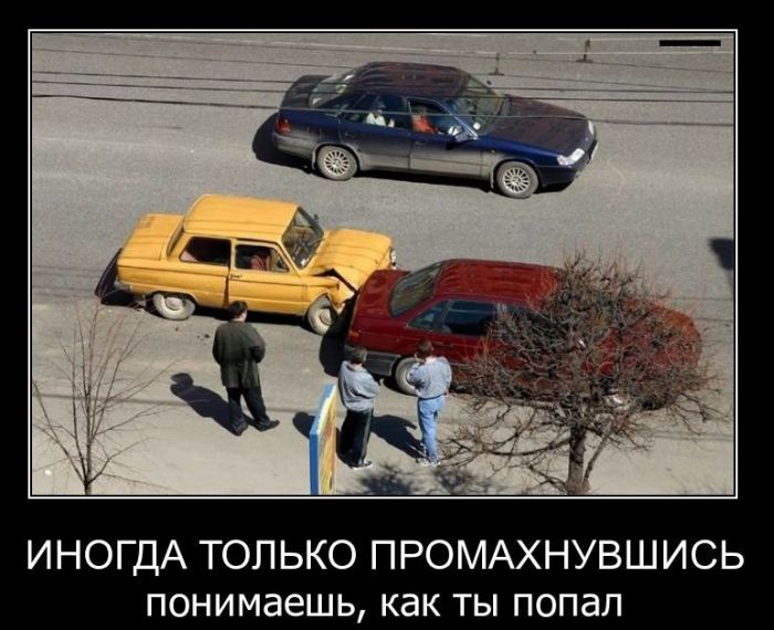 Демотиваторы (46 фото)