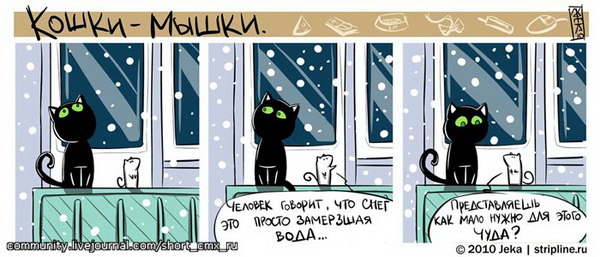Кошки-мышки