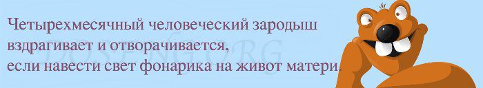 Подборка интересных фактов