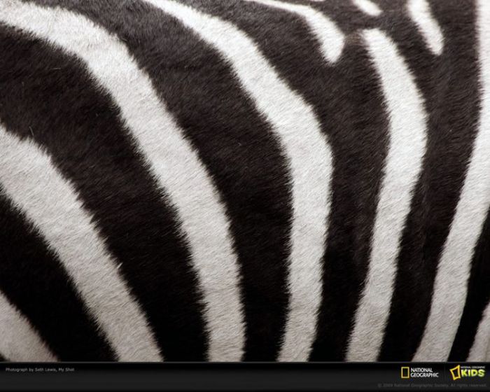 "Узоры природы" от National Geographic