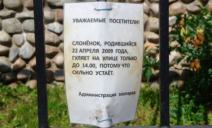 Нелепые и смешные надписи