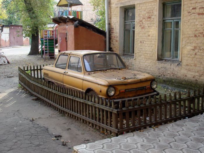 Фотографии с приколами
