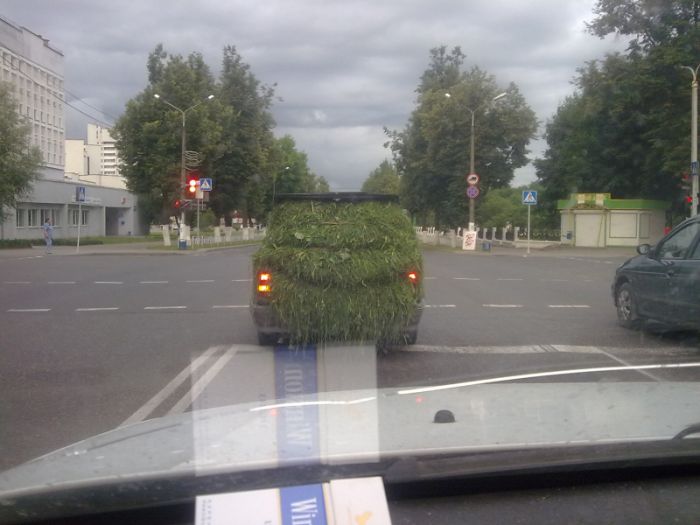 Сельский тюнинг