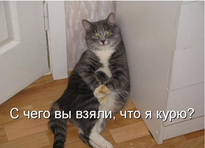 Очень смешные картинки с комментариями