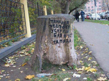 Подборка идиотизмов