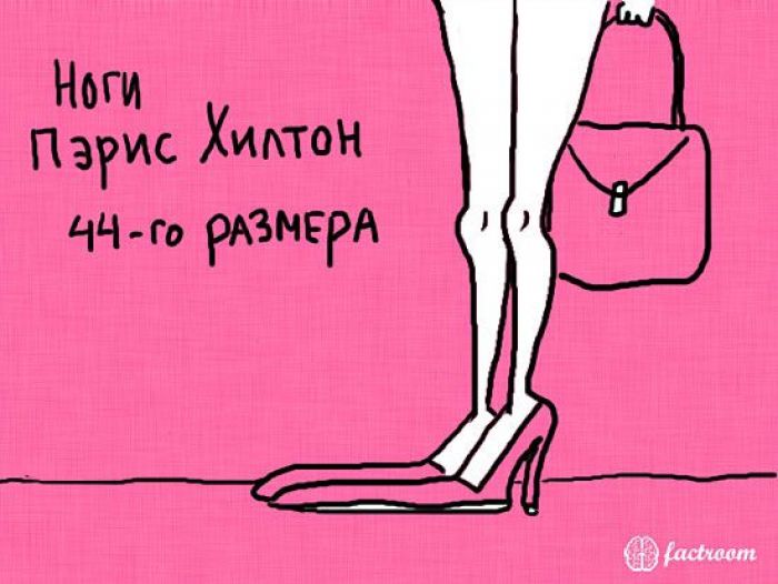Интересные факты (25 фото)