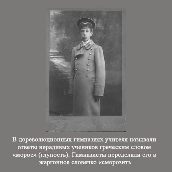 Факты о России (28 фото)