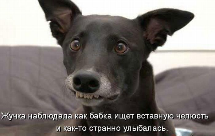 Позитивные фото с надписями