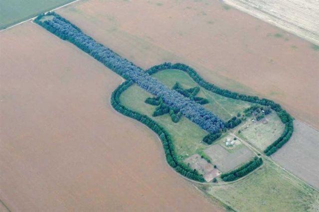 Гигантская гитара из деревьев (6 фото)