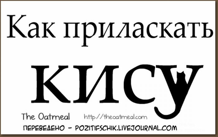 Как приласкать кису (6 картинок)