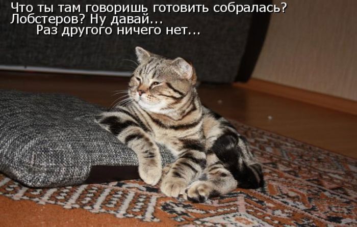 Классные картинки с надписями