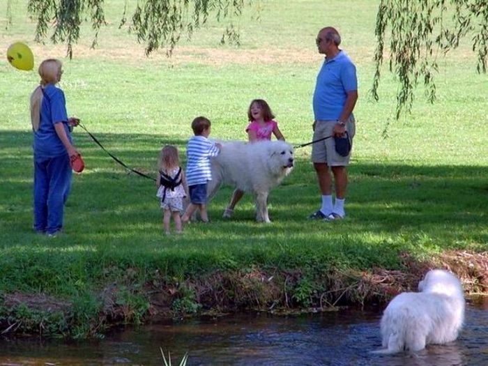 Худшие родители