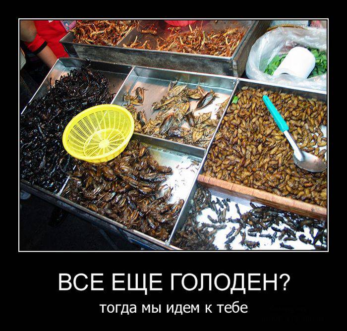 Демотивируемся!