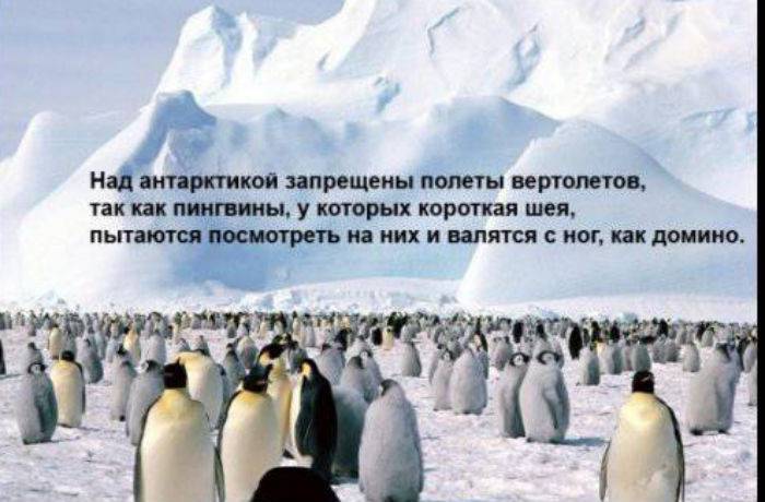 Классные интересности