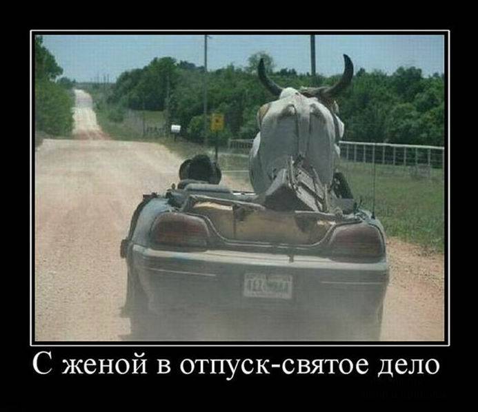 Прикольные демотиваторы на сегодня