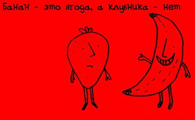 Немного фактов (50 картинок)