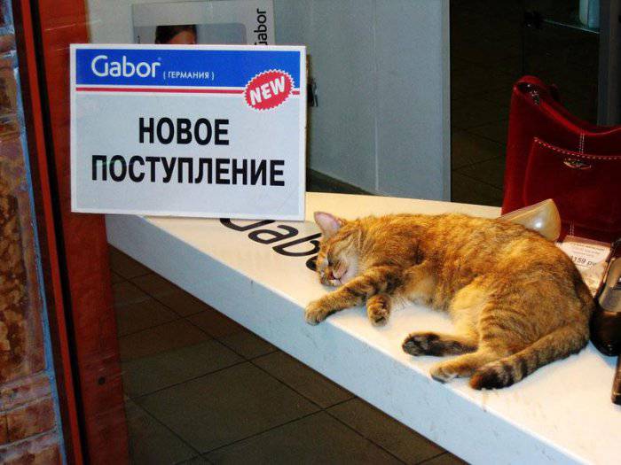 Забавности на сегодня